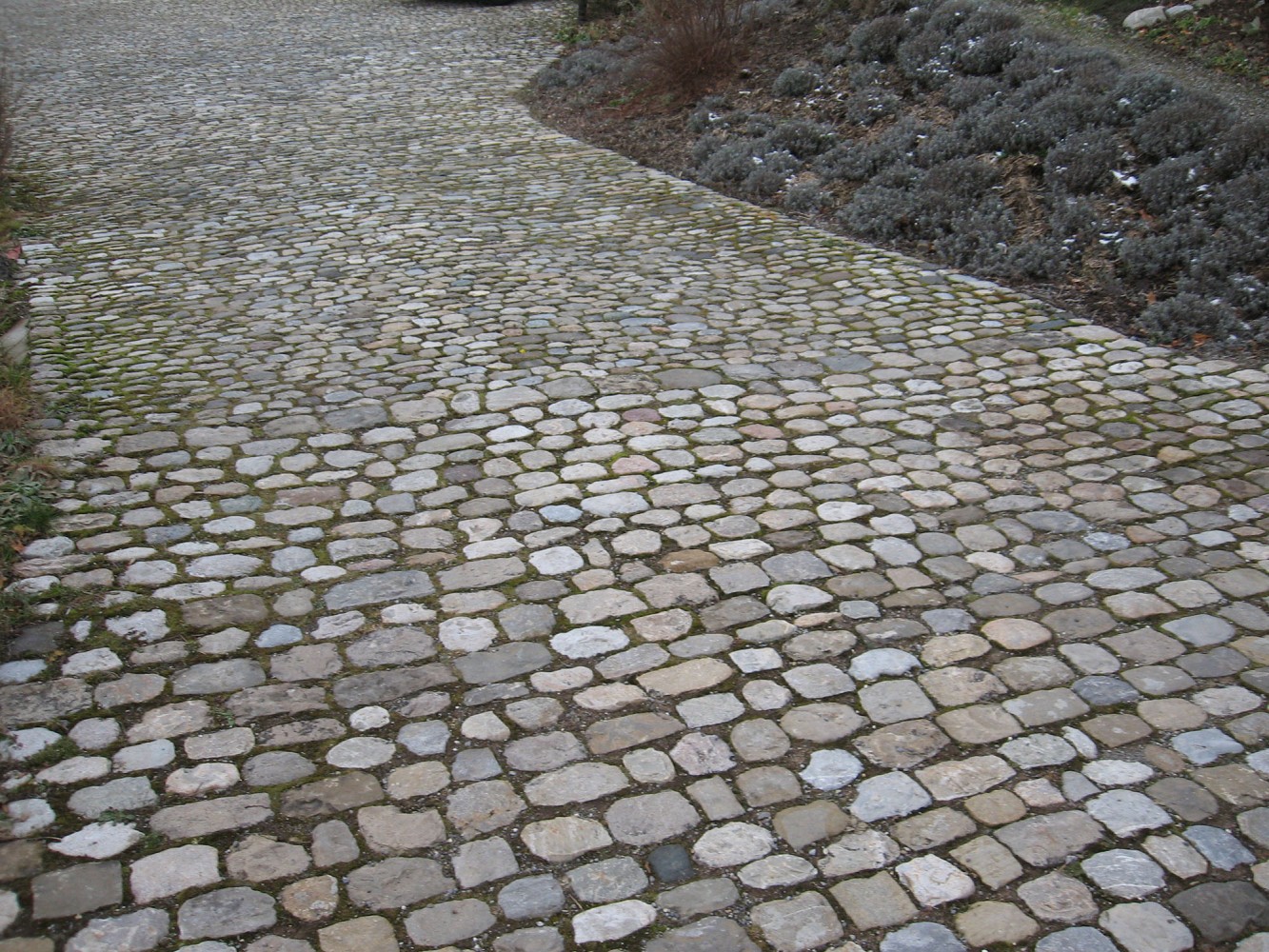 Gartenplatten - Kanton Schwyz