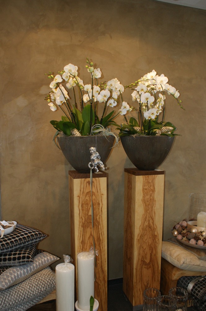 Mineralische Mörtelbeläge und Sumpfkalkoberflächen - Kanton Zug